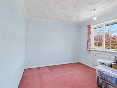 Picture 24